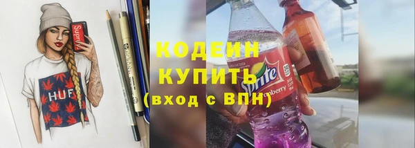 шишки Аркадак