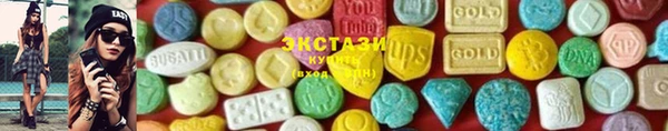 шишки Аркадак