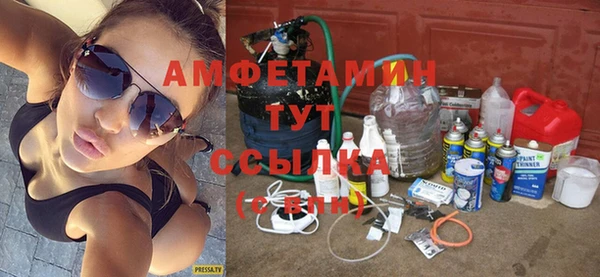 шишки Аркадак