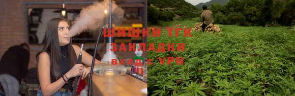 spice Армянск