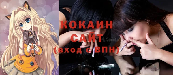 ГАЛЛЮЦИНОГЕННЫЕ ГРИБЫ Рославль